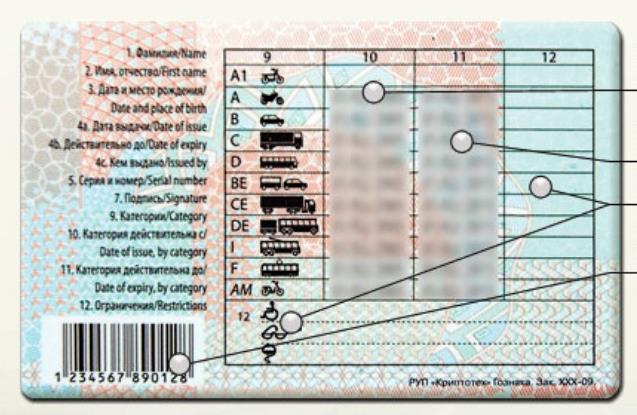 Отметка Очки обязательны на водительском удостоверении Беларусь